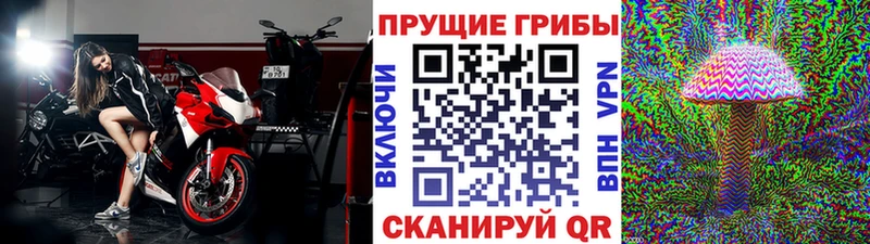 Псилоцибиновые грибы Psilocybe  Саки 