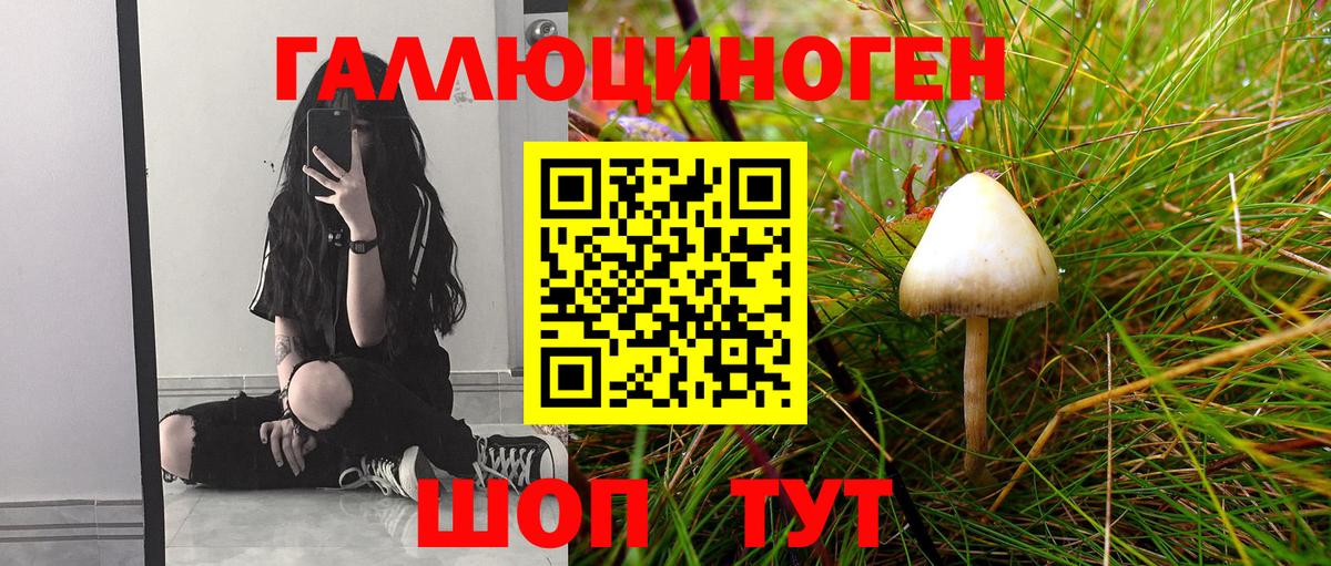 Галлюциногенные грибы прущие грибы Саки