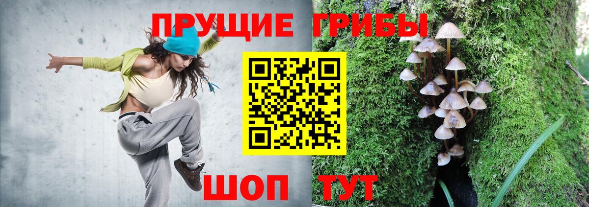 Галлюциногенные грибы Psilocybine cubensis  хочу наркоту  Саки  Вход с VPN 
