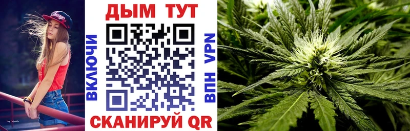 Каннабис сатива  kraken tor  Саки 